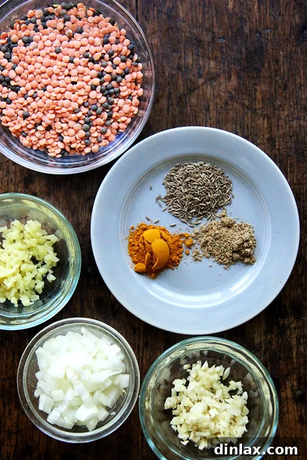 Golden Coconut Lentil Curry 2 A selection of fresh ingredients laid out, including vibrant spices, ginger, garlic, shallot, and red lentils, essential for making the flavorful curried lentils.
