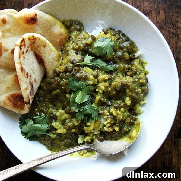 A bowl of freshly prepared curried lentils with coconut milk, garnished with fresh cilantro, ready to be served.