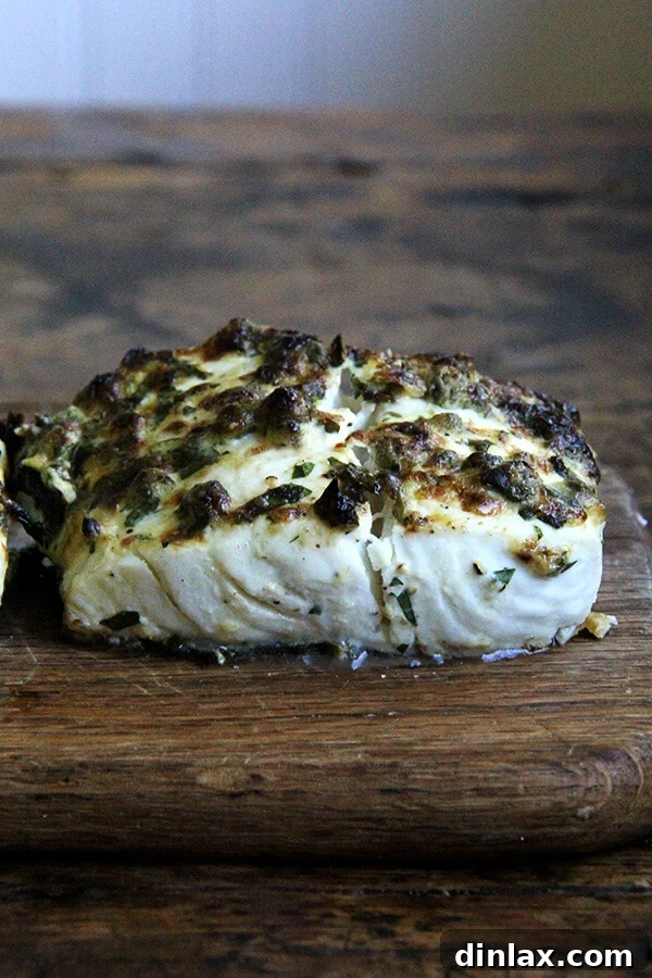 Serving pan-broiled halibut, highlighting the flaky texture and crispy topping.