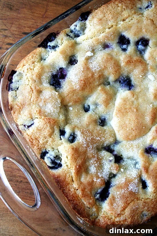 Fluffy Buttermilk Blueberry Breakfast Cake 3 Overhead close-up of buttermilk blueberry cake in a glass baking pan, showing golden crust.
