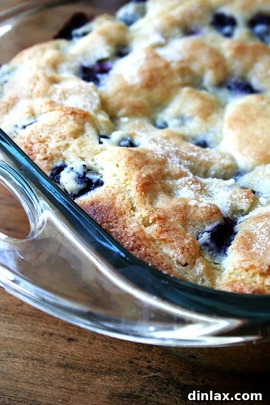 Fluffy Buttermilk Blueberry Breakfast Cake 6 Side close-up of buttermilk blueberry breakfast cake baking in a glass oven-safe pan.