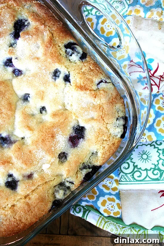 Fluffy Buttermilk Blueberry Breakfast Cake 7 Overhead close-up of buttermilk blueberry breakfast cake in a glass oven-safe baking dish, cooling on a wire rack.
