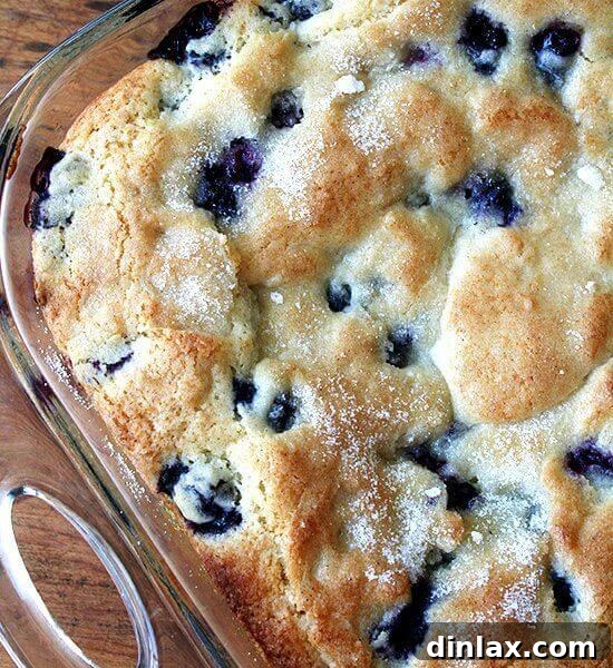 Buttermilk Blueberry Breakfast Cake, golden brown with a sugar crust