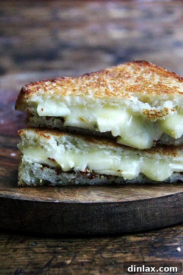 A perfectly grilled apple, cheddar, and mustard sandwich, golden brown and oozing with cheese, served on a rustic plate.