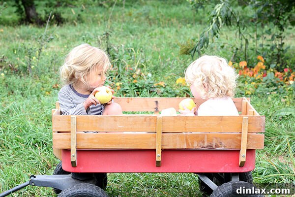 Wren and Tig, two children, exploring the orchard together.