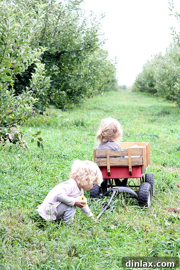 Tig and Wren, siblings, enjoying the autumn scenery.