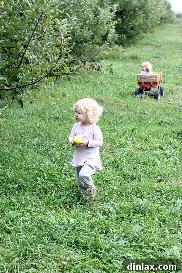 A close-up portrait of Tig, bundled up for the cool weather.