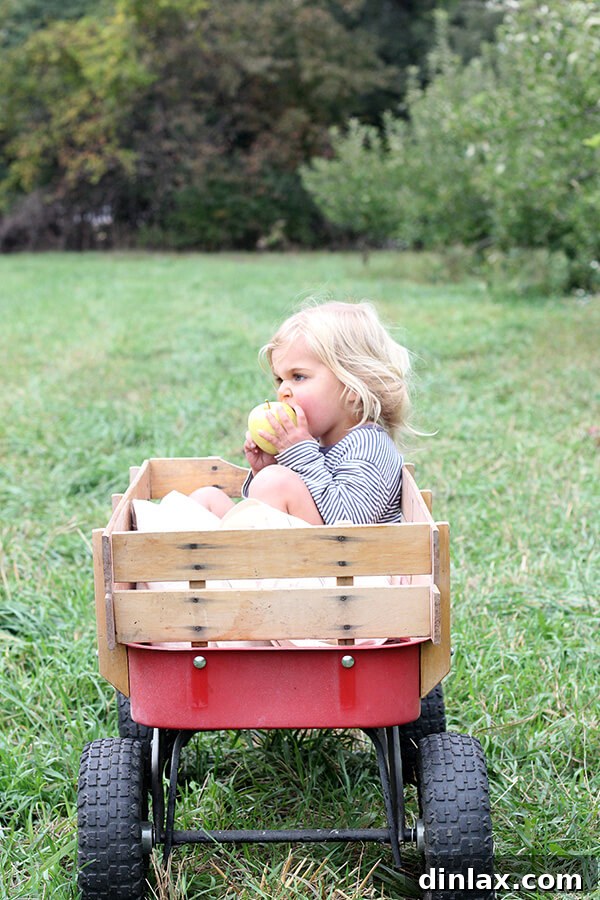 A cheerful photo of Wren in the orchard.