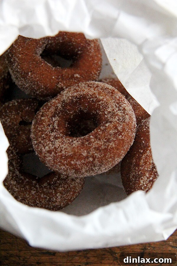 Delicious Riverview apple cider donuts, a perfect fall treat.