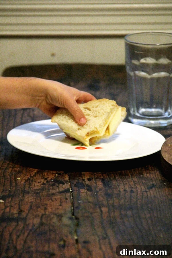 An un-melted apple, cheddar, and mustard sandwich, perfect for children.