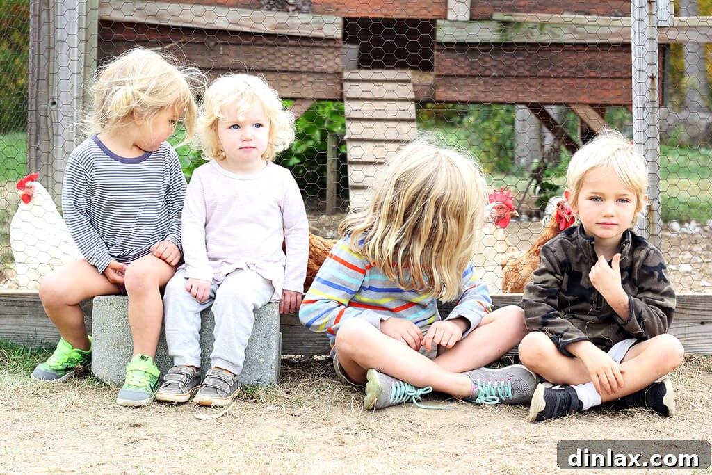 Children enjoying their time at the apple orchard.