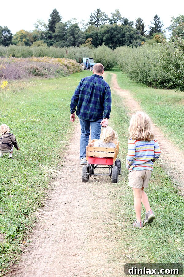 A young child looking up at an apple tree, hoping to find fruit.