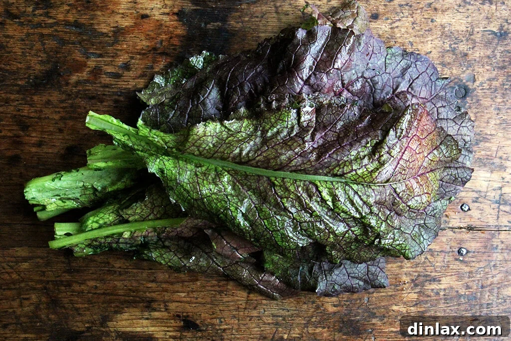 Fresh, vibrant mustard greens, stems trimmed, ready for preparation.