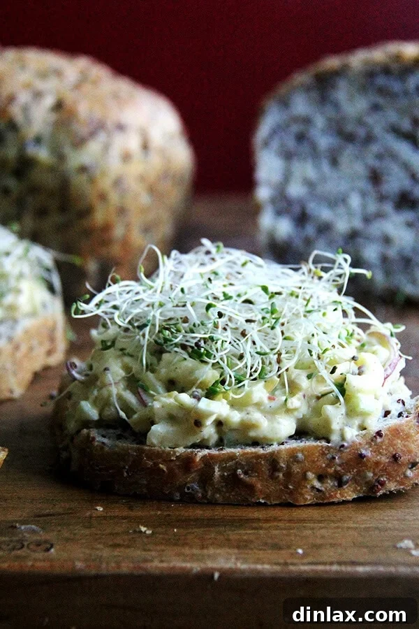 A vibrant curried apple and egg salad featuring crunchy apples, sweet grapes, nuts, and dried fruit, all bound by a light, tangy Greek yogurt and grainy mustard dressing. This mayonnaise-free recipe offers a satisfyingly fresh and flavorful experience.