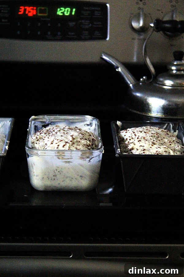 Freshly prepared quinoa and flax bread dough rising, indicating a successful proofing process and the promise of a delicious, wholesome loaf.