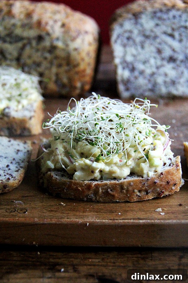 The finished curried apple-egg salad toast, a delectable and wholesome open-faced sandwich, perfect for a satisfying meal.
