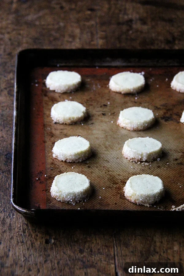 Dorie Greenspan's Classic Vanilla Bean Sablés 13 A sheet pan filled with just-baked vanilla bean sablés, golden brown at the edges, cooling after being removed from the oven.