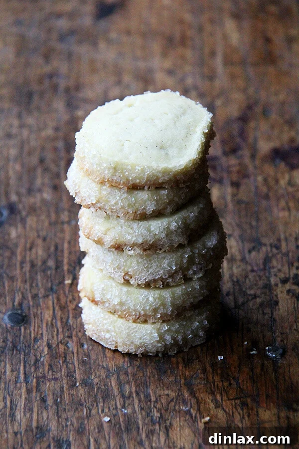 Dorie Greenspan's Classic Vanilla Bean Sablés 15 A beautifully arranged stack of golden vanilla bean sablé cookies, ready to be enjoyed or gifted.