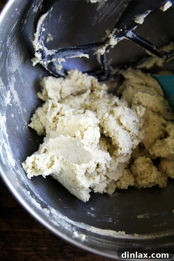 Dorie Greenspan's Classic Vanilla Bean Sablés 5 A close-up view of a stand mixer bowl filled with vanilla bean sablé cookie dough, showing distinct specks of vanilla bean caviar throughout the batter.