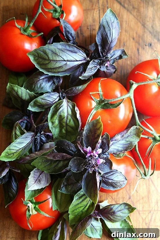 Classic Margherita Pizza with Marcella Hazan's Signature Tomato Sauce and House-Made Ricotta 3 Vibrant purple basil leaves, freshly picked from the garden, radiate a pungent, sweet aroma.
