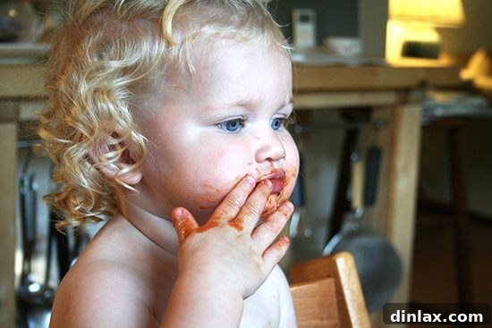 Classic Margherita Pizza with Marcella Hazan's Signature Tomato Sauce and House-Made Ricotta 5 A small, furry kitchen assistant, likely a dog, sits quietly, observing the delicious homemade tomato sauce with keen interest.