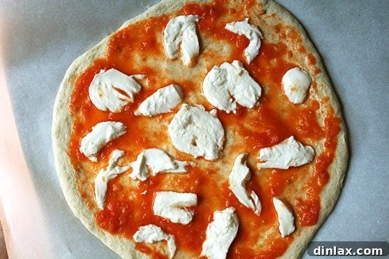 Classic Margherita Pizza with Marcella Hazan's Signature Tomato Sauce and House-Made Ricotta 6 Another perspective of the kitchen assistant, a loyal dog, patiently waiting near the pot of simmering tomato sauce.