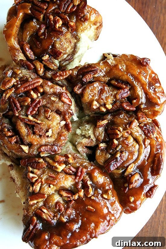 Served Sticky Pecan Caramel Roll A final beautifully plated sticky pecan caramel roll, showcasing its delicious layers of dough, caramel, and pecans, ready to be enjoyed.