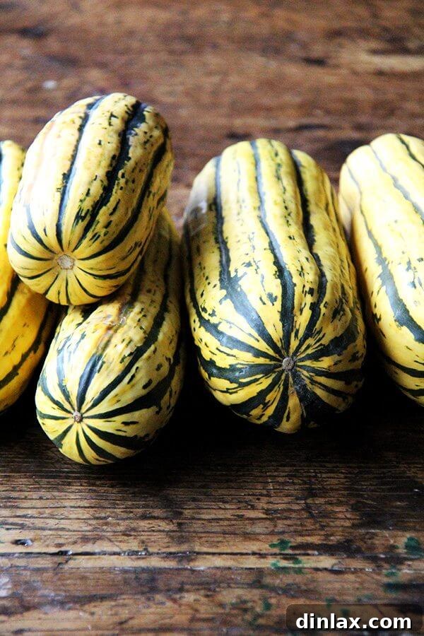 A table piled high with fresh delicata squash, ready for preparation.