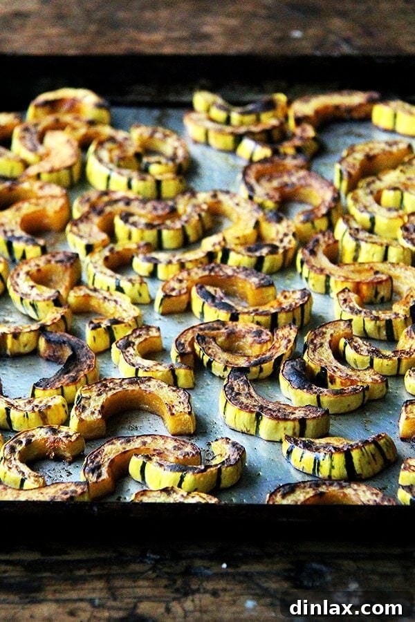A sheet pan showcasing perfectly roasted and broiled delicata squash slices, golden brown and caramelized.