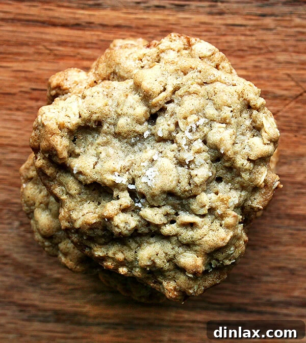 Delicious salted oatmeal cookies with a perfect balance of sweet and salty flavor.