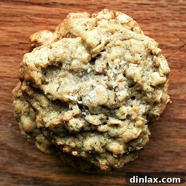 Irresistible Salted Oatmeal Cookies