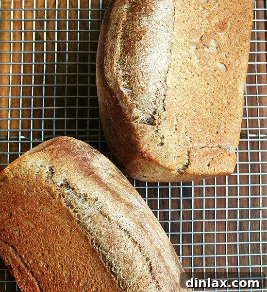 Hearty Honey Whole Wheat Bread