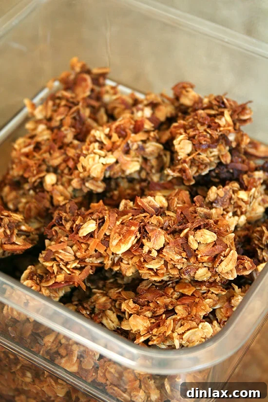 A welcoming spread featuring homemade biscotti, granola, salted oatmeal cookies, and honey whole wheat bread for guests.