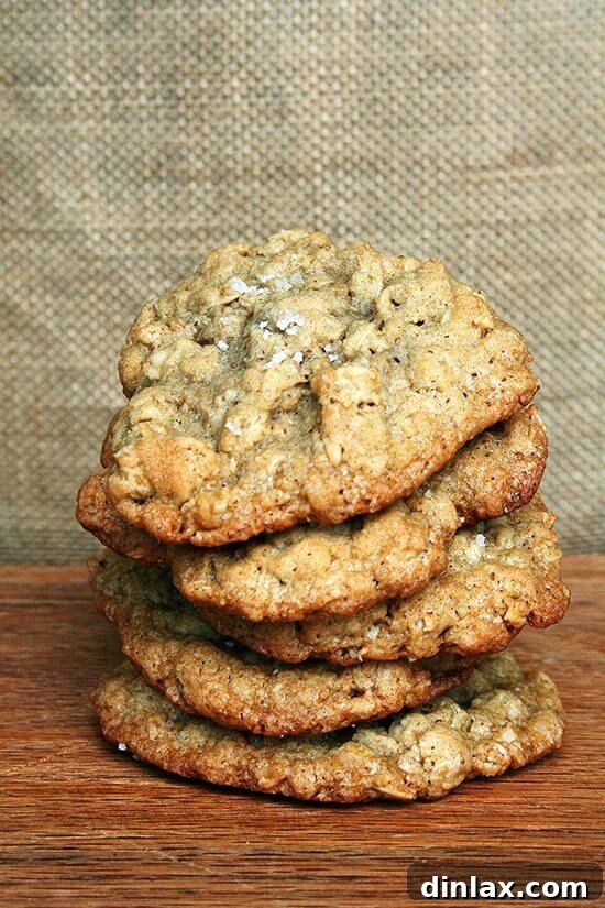 A stack of golden brown salted oatmeal cookies, perfect for guests.