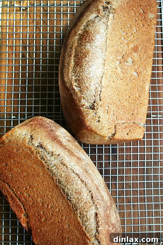Slices of delicious honey whole wheat bread, showing its wholesome texture.