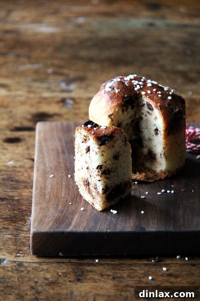 Ultimate Chocolate Panettone 10 A delectable slice of chocolate-studded panettone, revealing its airy crumb and generous distribution of dark chocolate chunks.