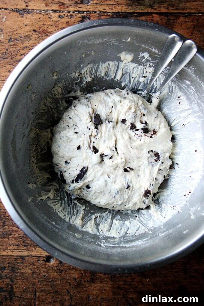 Ultimate Chocolate Panettone 3 The soft, enriched chocolate-studded panettone dough, ready for its final proof.