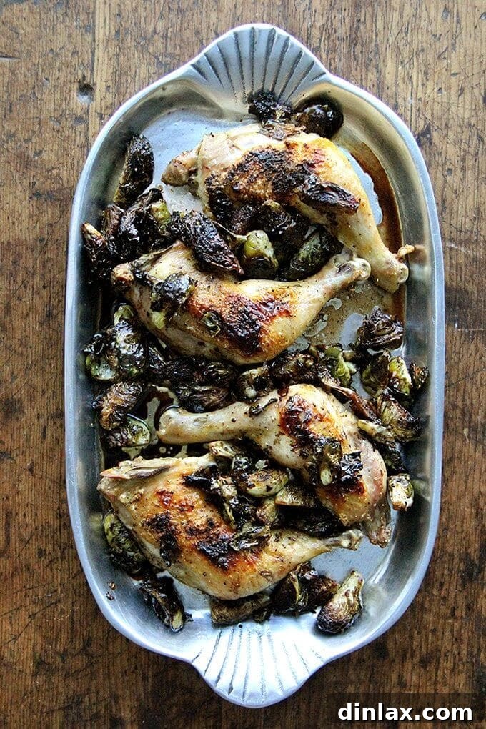 Savor the simplicity and rich flavors of this Sheet Pan Roast Chicken with Brussels Sprouts and Balsamic. The syrupy balsamic vinegar deglazes the pan, adding a delightful sharpness that perfectly complements the roasted chicken and tender Brussels sprouts. An effortless yet impressive meal for any night of the week. alexandracooks.com A platter of golden-brown sheet pan roast chicken legs and perfectly caramelized balsamic Brussels sprouts, ready to serve.