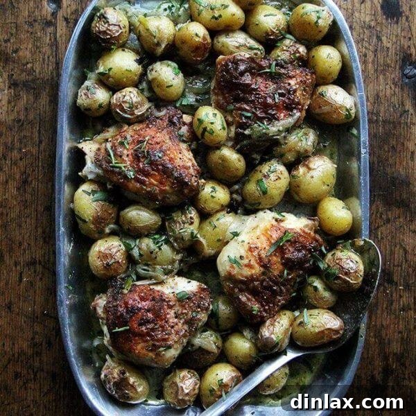 Sheet Pan Tarragon Chicken and Potatoes 10 One-Pan Chicken and Potatoes with Tarragon