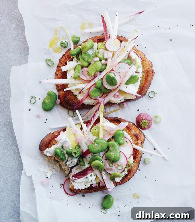 You will relish this endive and fava tartine—ricotta, pea shoots, radishes, and herbs—each spring-filled bite assuring you that you can endure a few more weeks of winter. This is the tartine to make when you’ve had your fill of comfort foods—of soups and stews and roasts and braises—and you long for something fresh and bright.