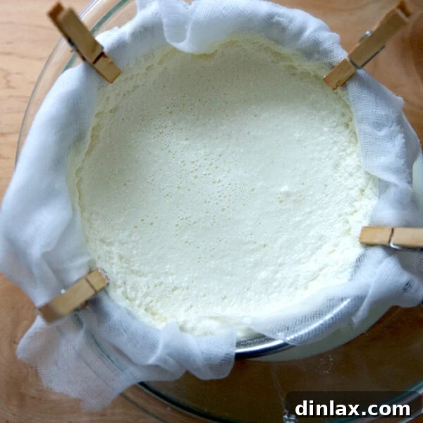 Creamy 4-Ingredient Homemade Ricotta