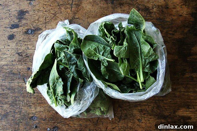 A fresh bounty of green vegetables, including spinach, Swiss chard, and kale, ready for cooking.