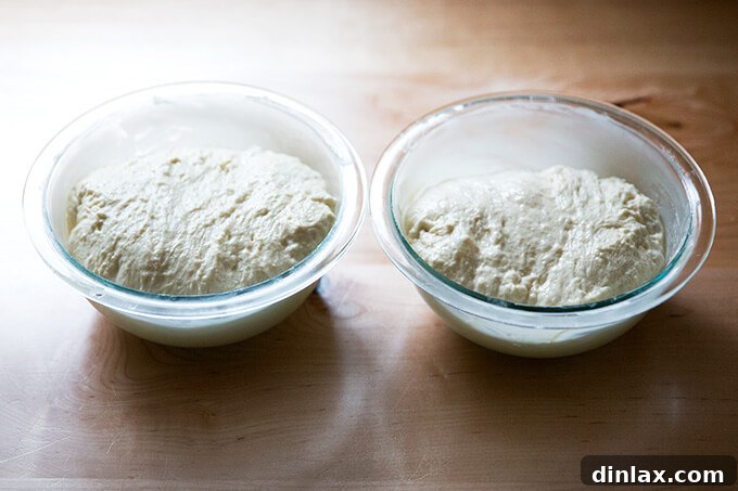 Homemade Bread Made Easy 11 Transferring the divided dough into buttered Pyrex baking bowls.