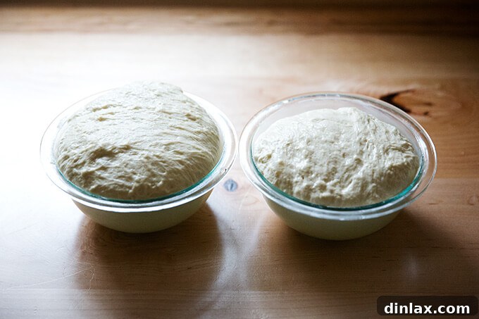 Homemade Bread Made Easy 12 Dough rising in Pyrex bowls, crowning over the rims, indicating it's ready for baking.
