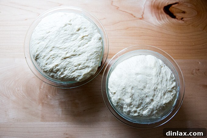 Homemade Bread Made Easy 13 Close-up of fully risen dough in a Pyrex bowl, perfectly crowned and ready for the oven.