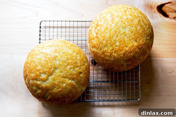 Homemade Bread Made Easy 15 Freshly baked peasant bread loaves cooling on a wire rack.