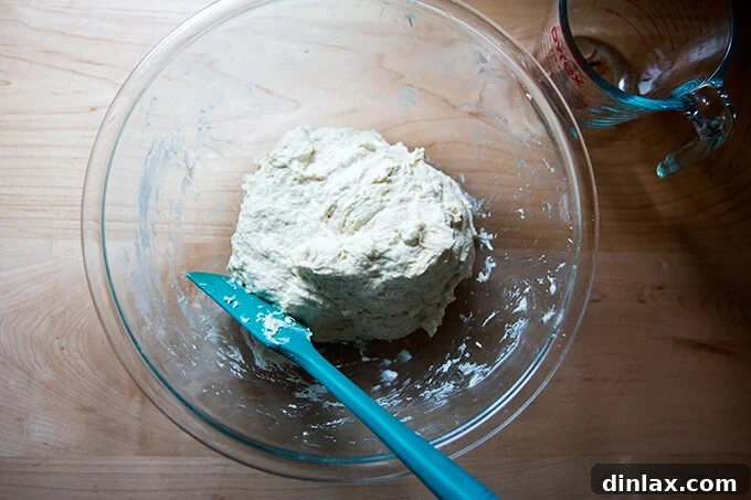 Homemade Bread Made Easy 6 Stirring the ingredients to form a shaggy, sticky dough ball for no-knead bread.