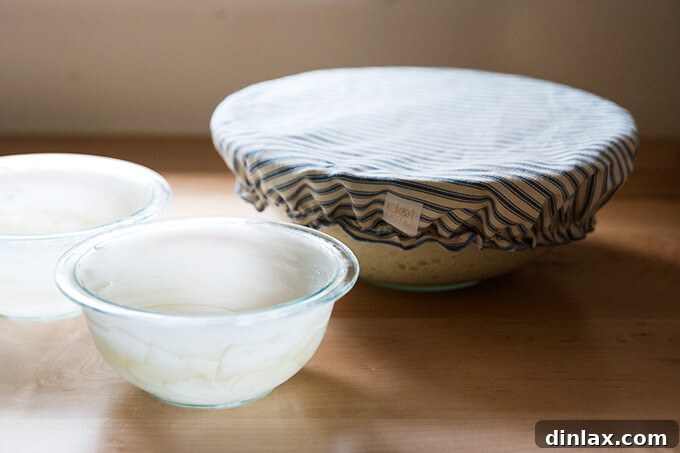 Homemade Bread Made Easy 7 Covered dough rising in a warm kitchen environment.