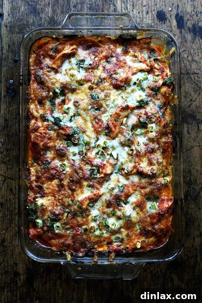 A steaming hot, freshly baked chicken enchilada casserole, golden and bubbly.