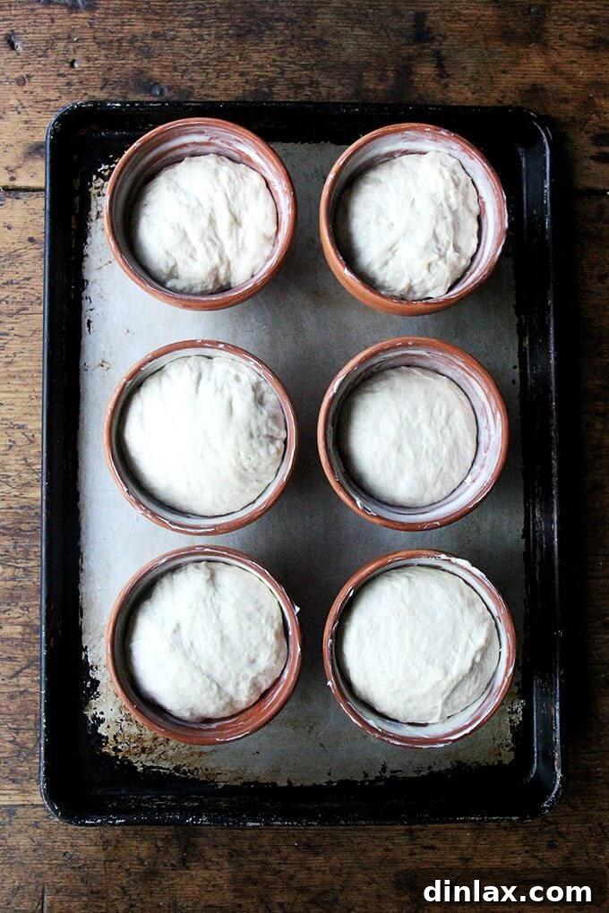 Peasant bread dough, fully risen and doubled in size, filling the mixing bowl and showing a bubbly surface.
